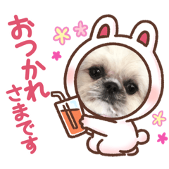 [LINEスタンプ] モコモコたん②