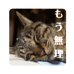 [LINEスタンプ] 松吉と梅子、ちょっとリメイク