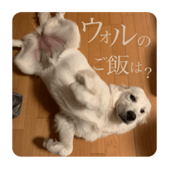 [LINEスタンプ] なつのウォル3
