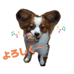 [LINEスタンプ] おてんば りんちゃん