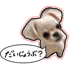 [LINEスタンプ] にこの日常part2