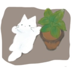 [LINEスタンプ] もこもこ白いねこ