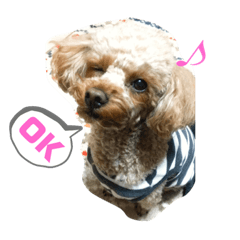 [LINEスタンプ] おすず_もも2