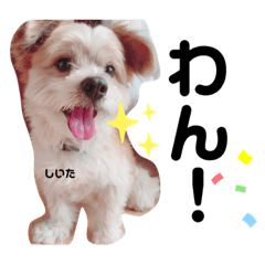 [LINEスタンプ] マルパピ②