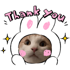 [LINEスタンプ] ししゃも2