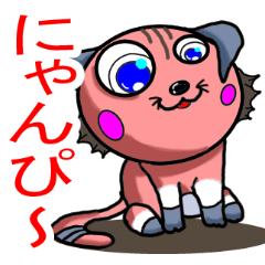 [LINEスタンプ] 可愛さ溢れる猫の茶太郎君