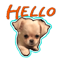 [LINEスタンプ] にこの日常part1