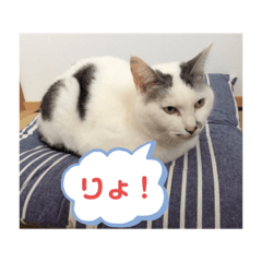 [LINEスタンプ] k.n オリジナル2