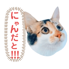 [LINEスタンプ] YOINA