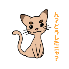 [LINEスタンプ] たくあん眉毛ネコ