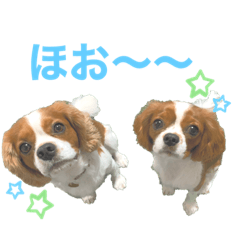 [LINEスタンプ] のあえま劇場2