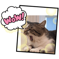 [LINEスタンプ] みいとぅん2の2