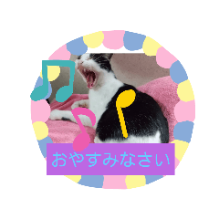 [LINEスタンプ] 仲良しキャットファミリー18