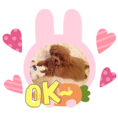 [LINEスタンプ] ティーちゃん3