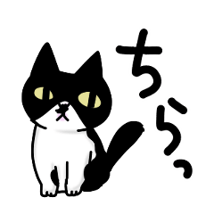 [LINEスタンプ] 白黒模様の猫のハナちゃんの画像（メイン）