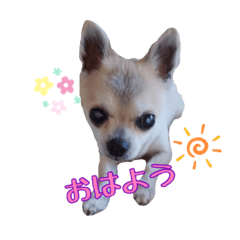 [LINEスタンプ] チャッピー＆エリザベス