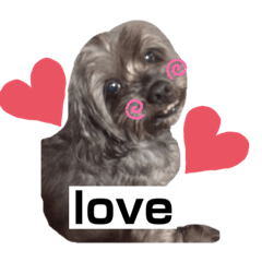 [LINEスタンプ] ワンチャン部隊