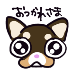 [LINEスタンプ] チョコタンチワワのクルミ