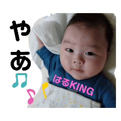 [LINEスタンプ] はるKING