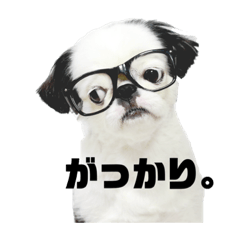 [LINEスタンプ] juntowa家スタンプ