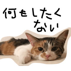 [LINEスタンプ] ネコの気持ち的なものです。