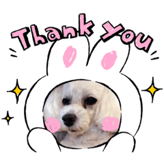 [LINEスタンプ] はなちゃんスタンプ9