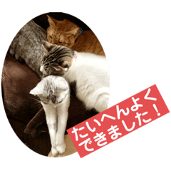 [LINEスタンプ] 花と琥珀と実々-2