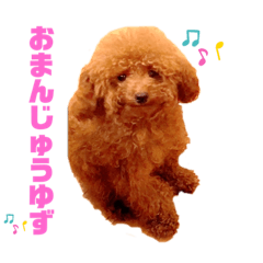 [LINEスタンプ] ひこパワー