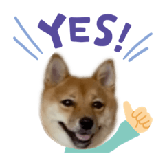 [LINEスタンプ] 成長した御犬様