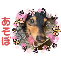 [LINEスタンプ] るー、れお、みる