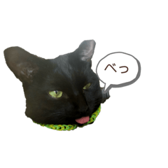 [LINEスタンプ] 黒猫エラ