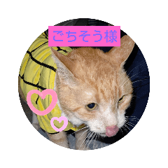 [LINEスタンプ] すずりんこ