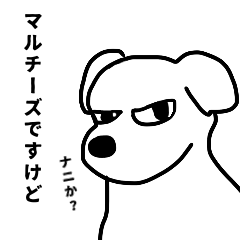 [LINEスタンプ] 俺、マルチーズですけどナニか？