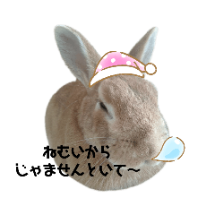 [LINEスタンプ] ミニウサギのピーちゃん