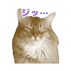KOJIRO2020