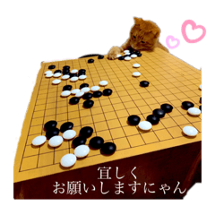 [LINEスタンプ] 碁打ちの為の囲碁猫スタンプ
