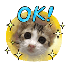 [LINEスタンプ] momochan3
