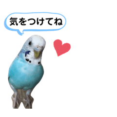 S家のアニマルず1