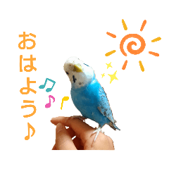[LINEスタンプ] ことりさんの可愛い1日。〜第2弾！！〜
