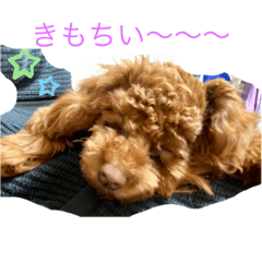 [LINEスタンプ] ワンチャンの1日