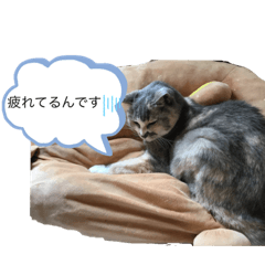 [LINEスタンプ] kenbanの画像（メイン）