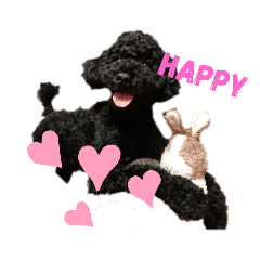 [LINEスタンプ] 黒トイプーヒロの気持ち♡