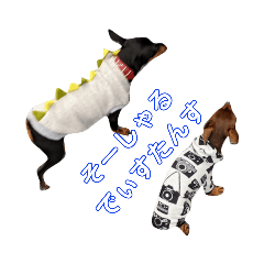 [LINEスタンプ] 名犬サクちゃん4