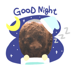 [LINEスタンプ] ワンチャンの1日5
