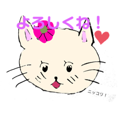 [LINEスタンプ] ねこねこの日常