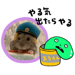 [LINEスタンプ] たま三郎くん