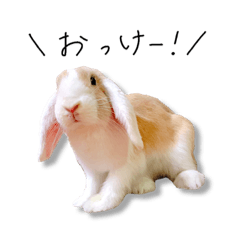 [LINEスタンプ] モコぐらし