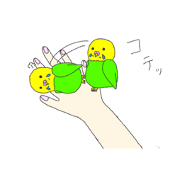 [LINEスタンプ] 手乗りインコのピーピーちゃん『男の子』