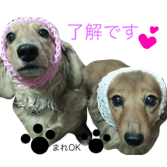 [LINEスタンプ] まろん＆れおん