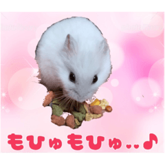 [LINEスタンプ] ゆみさん家のめろん